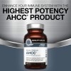 Kinoko Platinum AHCC 750 mg - Immune Supplement - Quality