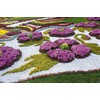 Flexible Garden Lawn Grass Edge 9m x 100mm Dark Green