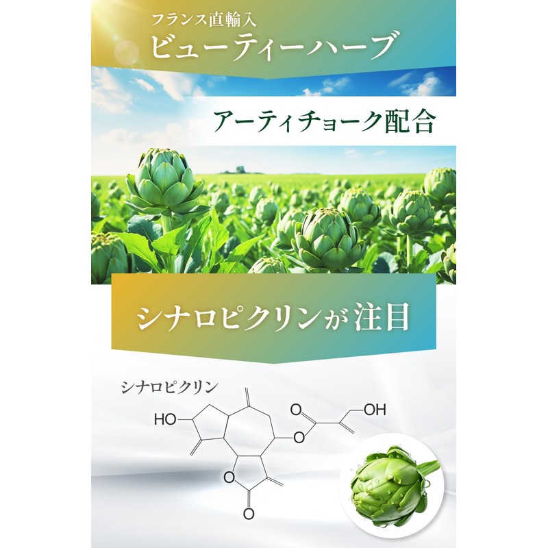 【薬剤師監修】エクソソームホワイト 馬プラセンタ ビタミンC ナイアシンアミド ビオチン サプリ 60粒 &WELL(1)