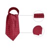 Allegra K Polka Dot Ascot Tie, Scarf, Cravat Tie, Formal