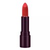 SS [에스에스_62]하나 빈틈 듯 없이 밀착 벨벳 립스틱 RD309호 [SS_62] Seamless Velvet Lipstick RD309