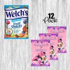 Mouse Pink Party Snacks, Favors and Decorations (Fruit Snacks 0.9oz
