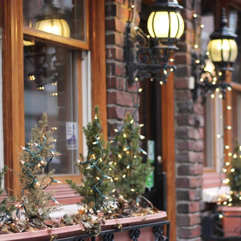 Minetom 100 Count Clear Warm White Mini Christmas String Lights