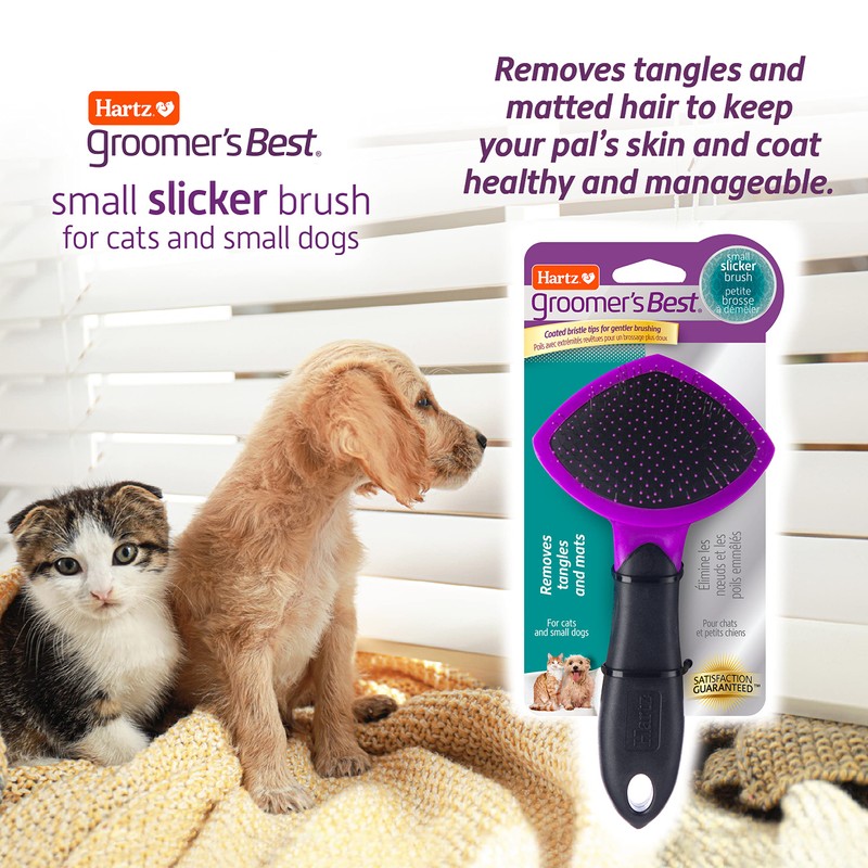 Hartz Groomer's Best Small Slicker Brush for Cats and Small