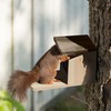 Relaxdays Squirrel Feeder House, Wood, Folding Roof, Seating Platform, Squirrel