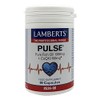 Lamberts Pulse 90's