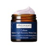 Antipodes Culture Probiotic Night Recovery Water Cream 60ml