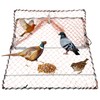 Nunadano Pheasant Bird Trap Pigeon Sparrow Quail Starling Chicken Live
