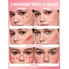 SHEGLAM Color Bloom Liquid Blush Makeup for Cheeks Matte Finish