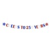 250th Anniversary Decorations CHEERS TO 250 YEARS Banner for Patriotic