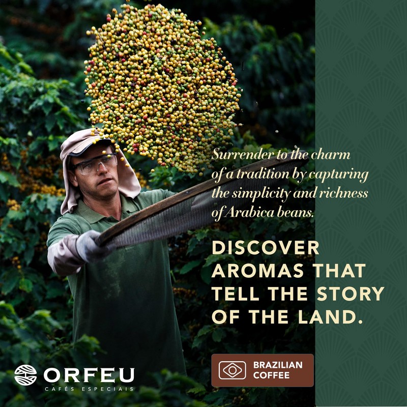 ORFEU - Special Coffee Intense - 100% Arabica Coffee, Dark