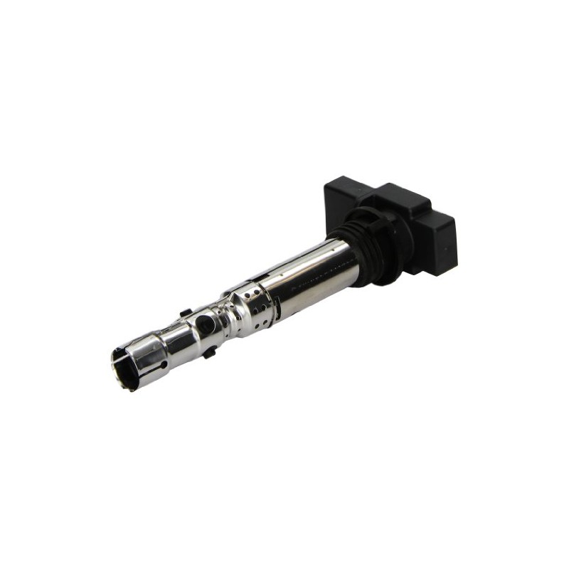 Beru AG 0040102059 Ignition Coil