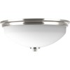 Progress Lighting Replay Collection 2-Light Ceiling Light, Flush Mount Ceiling