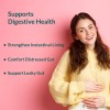 UpNourish Akkermansia Muciniphila 5 Billion TFU for Digestive Metabolic Health