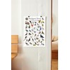 Where's Wildlife Backyard Birds of Pennsylvania Bird Identification Poster (12"