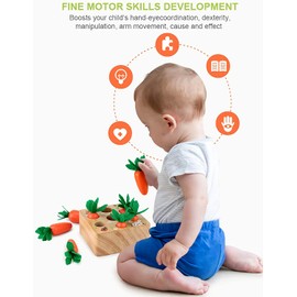 RECHIATO Montessori Toys for 1 Year Old, Carrot Shape Size Sorting Game, Wooden Easter Baby Toys for Babies 6-12 Months Fine Motor Skills Development Age 1-5, Easter Party Favors for Kids