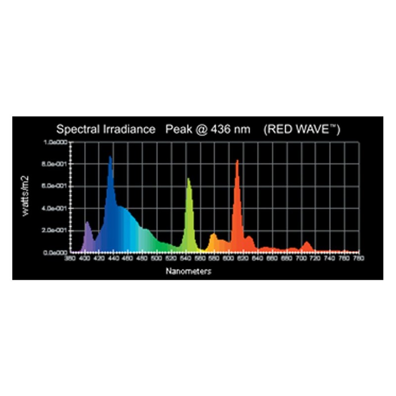 Wave-Point Color Wave 24-Watt High Output T-5 Lamp