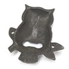 Owl Bottle Opener, 12.5 x 10.5 cm, 260g - Quirky