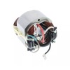 Ridgid Genuine Ridgid Motor Stator 089041034723 for 10" Tile Saw R4092