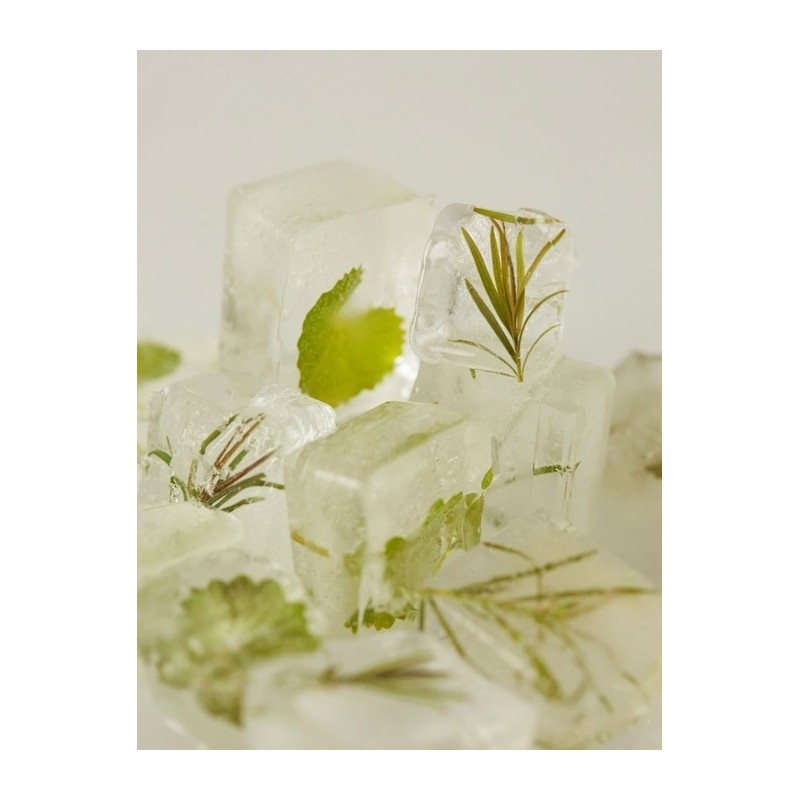 Tea Tree Control Cica Ampoule 30ml / 티트리 컨트롤 시카
