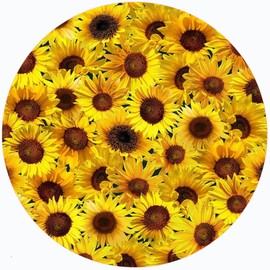 Andreas Silicone TR-86 Sunflower Non-Slip 8" Trivet/Pot Holder/Hot Pad, 100% Cotton, Dishwasher Safe, Hot Dishes, Protect Hair Iron, Safe up to 600°F