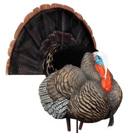 Higdon Outdoors Full Strut Tom Turkey Decoy with Magnetic Removeable Fan for Turkey Hunting