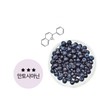 Better Berry Good Bilberry 100 Tablets Wild Bilberry / 더좋은