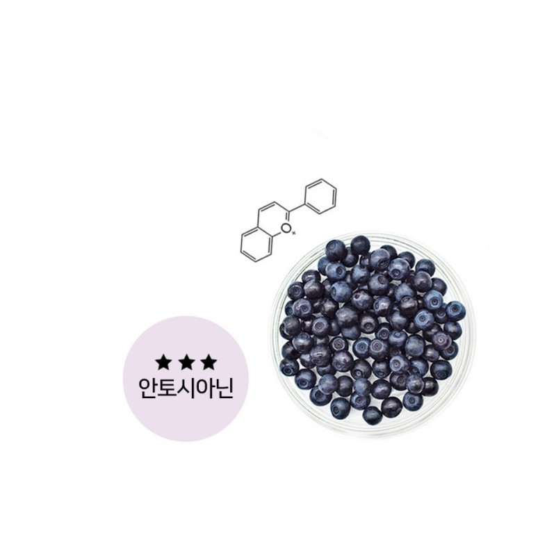 Better Berry Good Bilberry 100 Tablets Wild Bilberry / 더좋은
