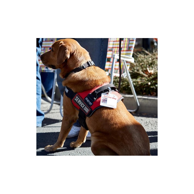 MBOTIROSA Service Dog Fabric Applique Patch Embroidered Weatherproof 35 x