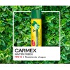 Balsamo Labial Hidratante Carmex Wintergreen 4.25 G