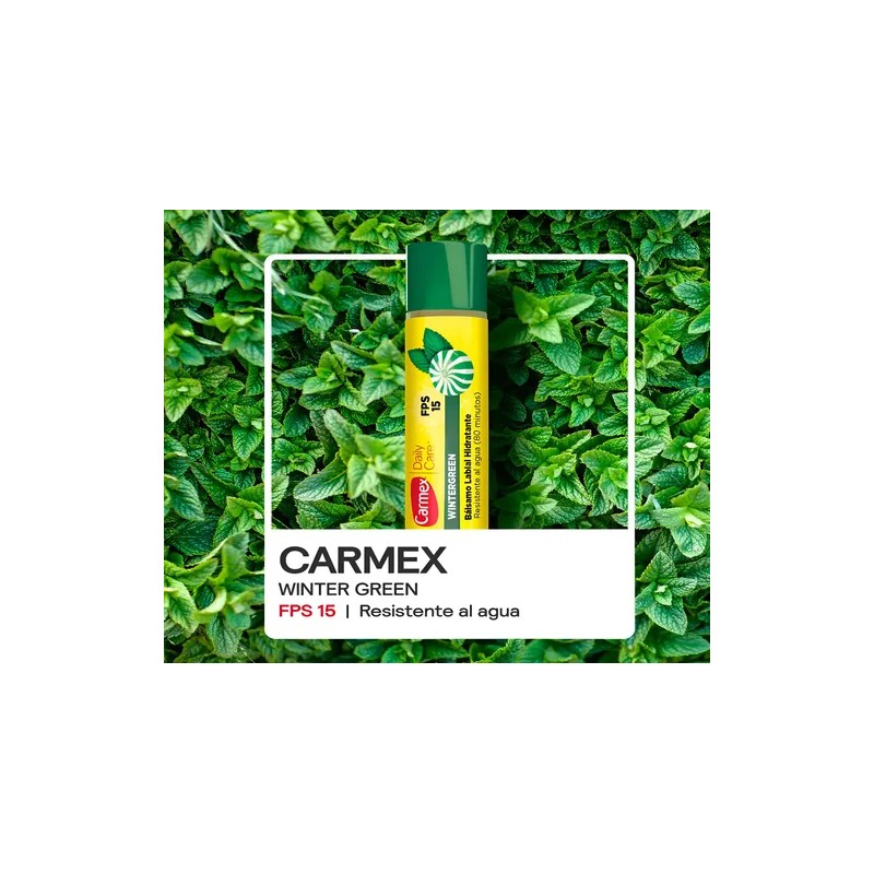 Balsamo Labial Hidratante Carmex Wintergreen 4.25 G