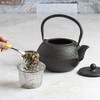 Primula Black Hammered 40 Ounce Cast Iron Teapot
