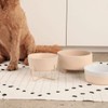 Waggo Uplift Ceramic Dog Bowl for Small Medium and Large