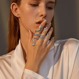 LXONTSG Snake Ring, 4-Piece Snake Rings Set, Open Snake Ring, Vintage Snake Rings, Gothic Snake Rings, Adjustable Snake Ring, Punk Vintage Rings for Women and Girls, Not applicable