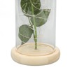 Rose in Glass Dome Lucky Beautiful Symbolism Romantic Enchanted Rose