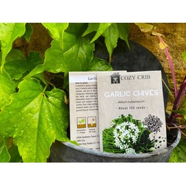 Wild Garlic Chives Allium Tuberosum Chinese Chives Chinese Leek 100 Seeds for Planting Non-GMO