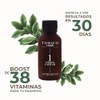 Tonico Vittale Tónico Cabello 75ml Tratamiento Cuero Cabelludo Anticaída Crecimiento