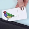 'Gouldian Finch' Pill Box with Tablet Splitter (PI00031707)