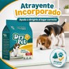 Dry Pet Tapete Entrenador para Perro de 30 Piezas