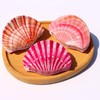 Seashell Hair Claw Clip for Women, Beach Wedding Hair Accessories,