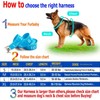 Light Up Dog Harness No Pull LED Harness, Escape Proof