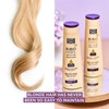 Blondz Only Hair Purple Toning Shampoo| Eliminates Brassiness | Neutralizes