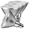 EdisonPar Full-Glass PAR38 LED Flood Light Bulbs Outdoor/Indoor Equivalent 300