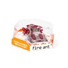 HEXBUG Fire Ant, Colors may vary