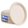 Disposable Paper Plates 9 Inch Compostable Plates 50 Pack Biodegradable