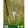 Biojoy Organic psyllium husks (250 g), 99% purity Plantago ovata,