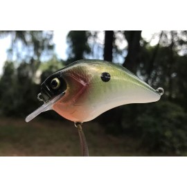 custom blank SPEEDBAITS Custom Airbrushed S-CRANK 1.5 Squarebill Crankbait
