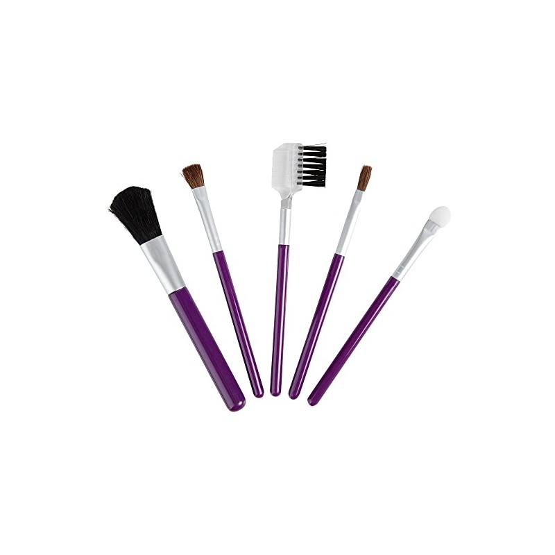 Exceptional Parfums Set-5 Piece Travel Makeup Brush Set