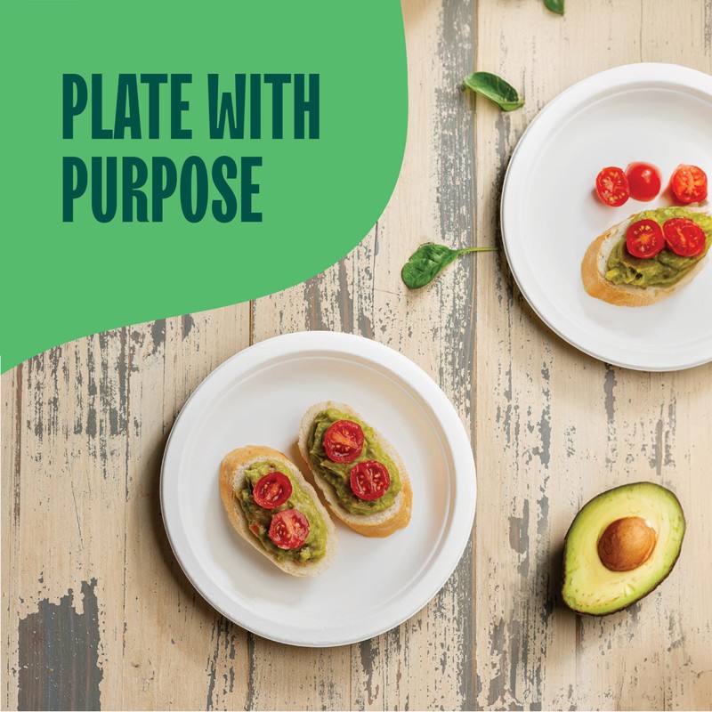 100% Compostable Paper Plates 10 Inch Bulk [500 Count] Heavy-Duty