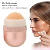 Oil-Absorbing Volcanic Face Roller, Reusable Face Roller Skin Care Facial